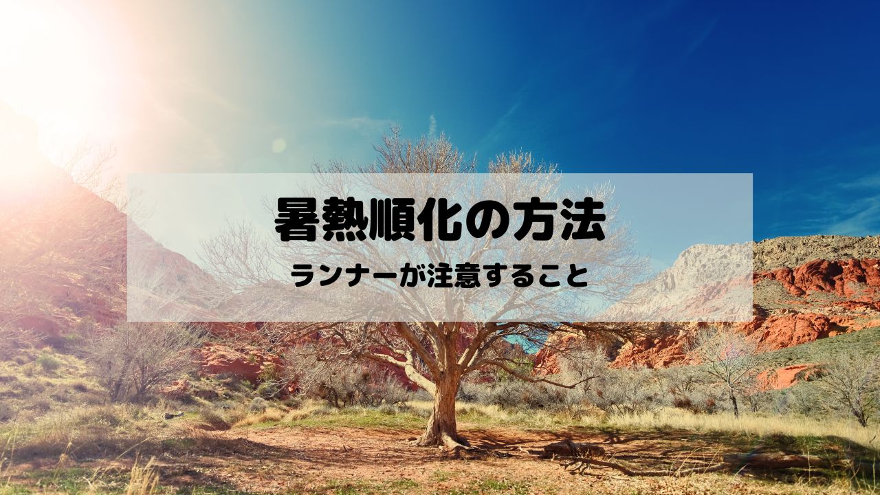 「暑熱順化」で熱中症予防！お風呂やサウナで汗をかこう