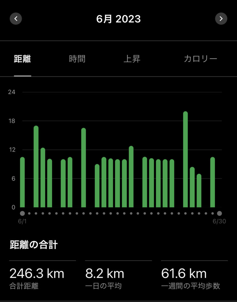 月間走行距離は246km！PB更新した6月を振り返る。｜シシガブログ